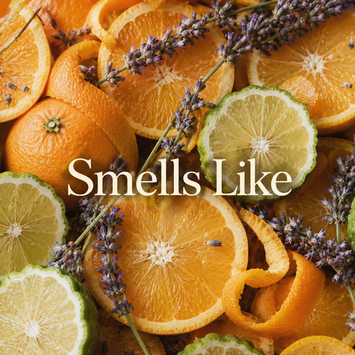 A Pocket of Positivity Essential Oils Wax Melt