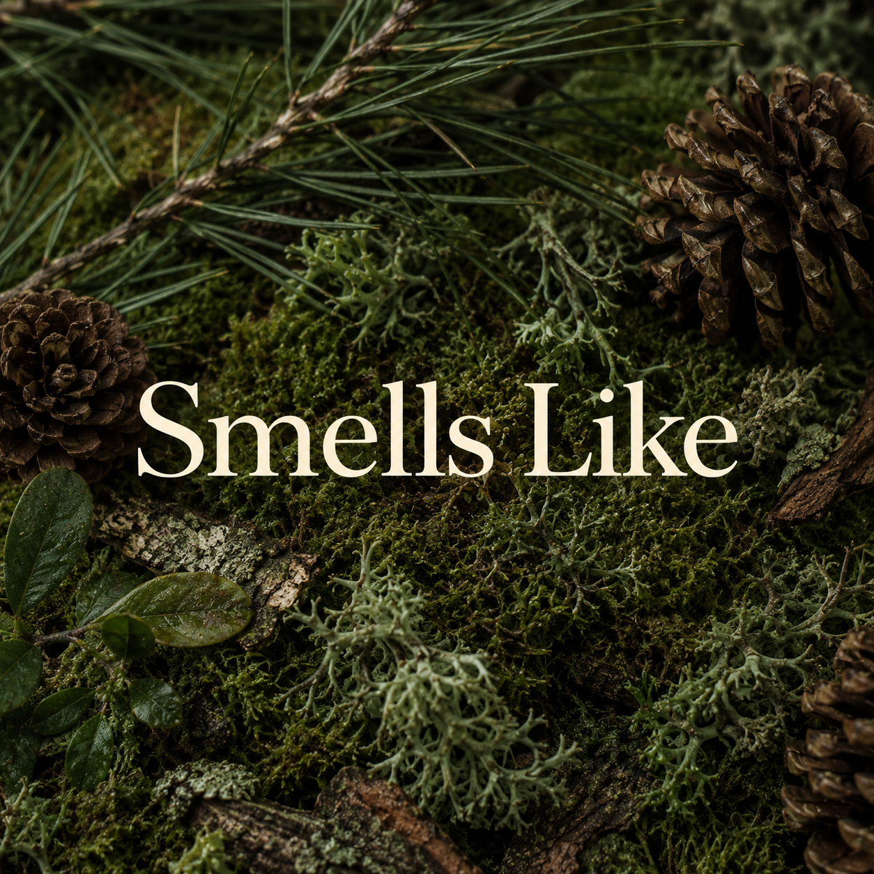 Pine Forest Walks & Earthy Oakmoss Wax Melt