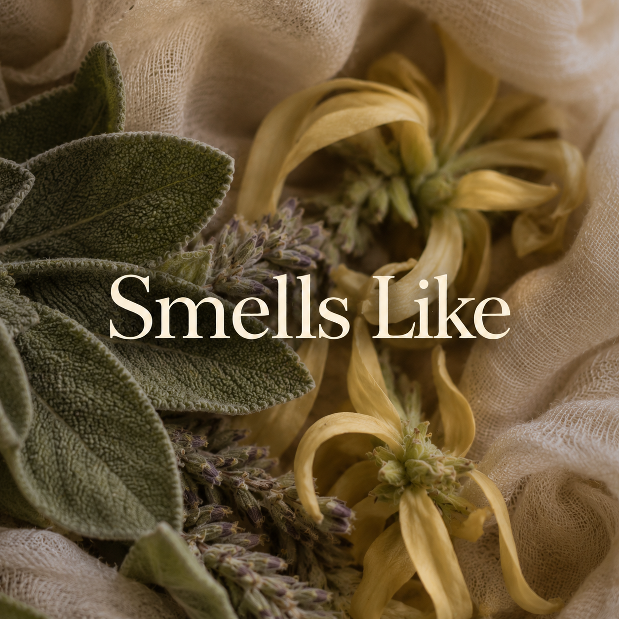 The Sleepy Soul Essential Oils Wax Melt