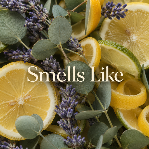 A Deep Breath of Focus Essential Oils Wax Melt